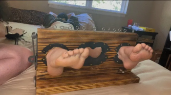 Claire’s feet in stocks with grooming gloves tutorial.webp