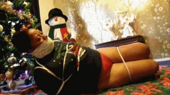 Hogtie Wonderland.webp