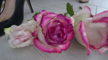 TRAMPLE FLOWERS WITH SHOES (fd).webp