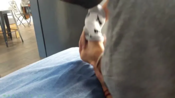 ADRIAN HACE COSQUILLAS A HUGO.webp