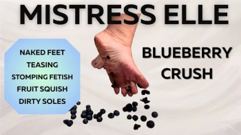Blueberry Crush.webp