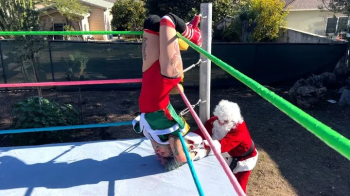 Naughty Elf Jobs Out to Santa.webp