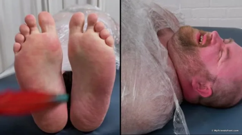 Tommy Bearhama Mummified & Tickled Crazy.webp