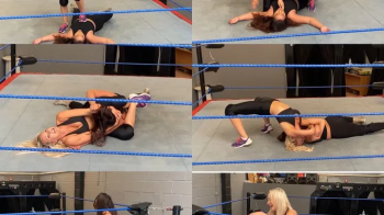 pedigrees, stinkfaces, triangle choke hold & arm submissions.webp