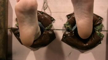 Your getting it good today feet in stocks.webp