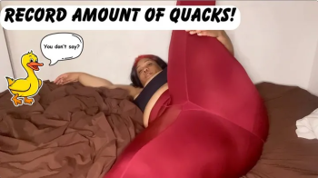 Dahlia Quacking It Up!.webp