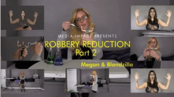 Robbery Reduction 2.webp