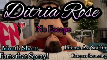 Bare Ass Bouncing The Farts Out! - Ditria Rose.webp