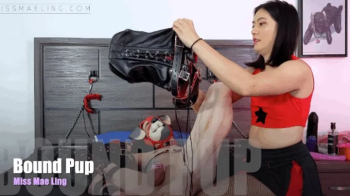 Bound Pup - 4K.webp