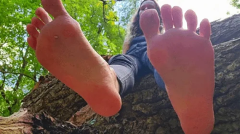 Under Forest GIANTESS FEET.webp