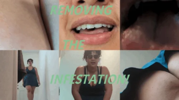 Removing a Tiny Infestation.webp