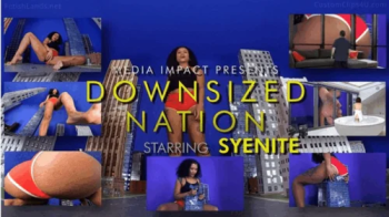 Downsized Nation.webp