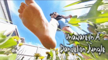 Unaware In A Dandelion Jungle EXTREME POV - HD 1080p Version.webp