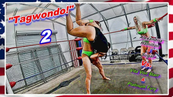 Tagwondo! 2 WMV.webp