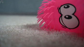 Attack of the caterpillar part 2.webp