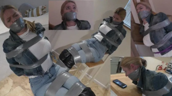 Lottie LaLay; The Denim Detective Diabolically Duct Taped!.webp