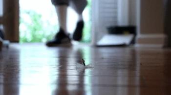 Tiny House Slave.webp