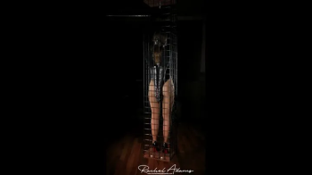 suspended in the cage.webp