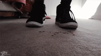 Shoe Cleaning Worshippers.webp