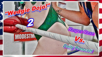 Wedgie Dojo! 2 WMV.webp