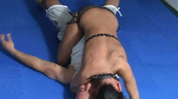 Wendy Wonder breeder bitch insemination.webp