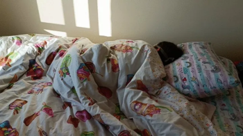 Step-Brother Wakes Up And Tickles My Body And Heels With Naked Ass.webp