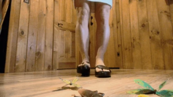 flip flop giantess pov.webp