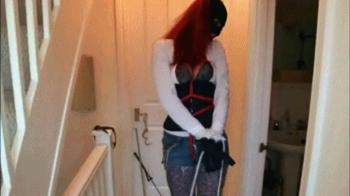 Training Autumn Red.webp