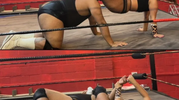 bodyscissors, headscissors and armbars.webp