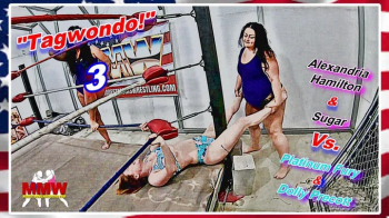 Tagwondo! 3 WMV.webp