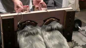Pinky in for some up close foot tickling in the stocks!.webp