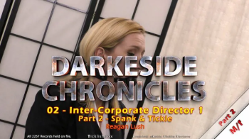 Darkeside Chronicles 02 - Inter-Corporate Director 1 - Part 2.webp