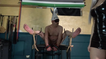 MISTRESS LILY DUPONT - TICKLING.webp