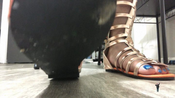 Catwalk and farts.webp