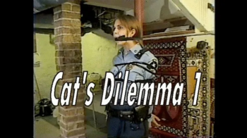 Cat’s Dilemma, One.webp