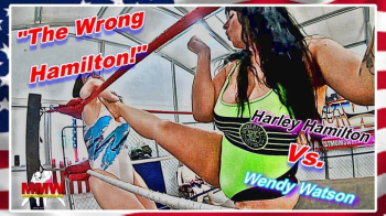 The Wrong Hamilton!.webp
