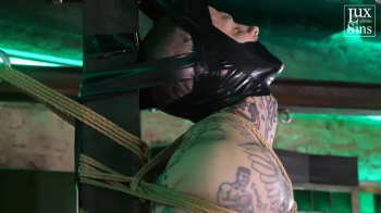 Hashira- Heavy & Tamandua - Rope and Tape Bondage (AVI).webp