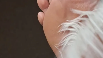 Feather tickling.webp