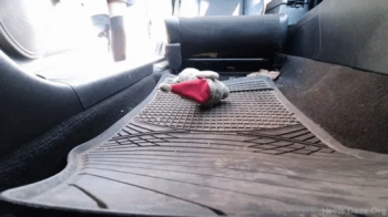 Giantess POV Candid Plushie Trample Dr Martens.webp