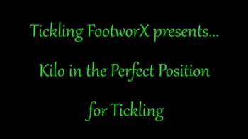 Kilo in the Perfect Position for Tickling.webp