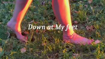 Down at My feet.webp