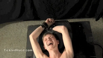 Nico Stiles' Hardcore Tickling WMV.webp