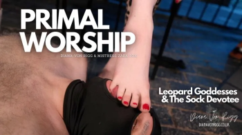 Sweaty Sock & Barefoot Worship with Leopard Goddesses.webp