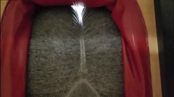 POV I Make You Smell My Sweaty Stinky Farts After I Workout.webp