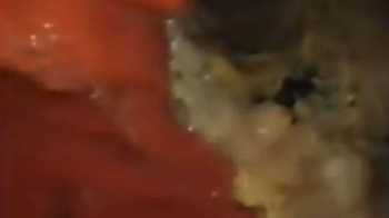 Amanda's Full Body Tickle - Full HD.webp