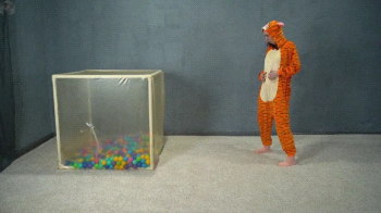 A cube for the tiger.webp