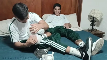 COSQUILLAS TIMON Y ROOTS PARTE 1.webp