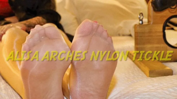 Alisa Arches Nylon Tickle.webp