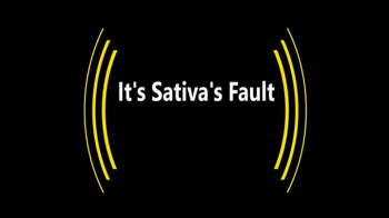 It's Sativa's Fault (1080p).webp