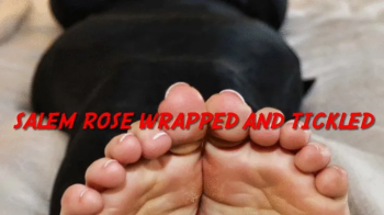 Salem Rose Wrapped and Tickled.webp